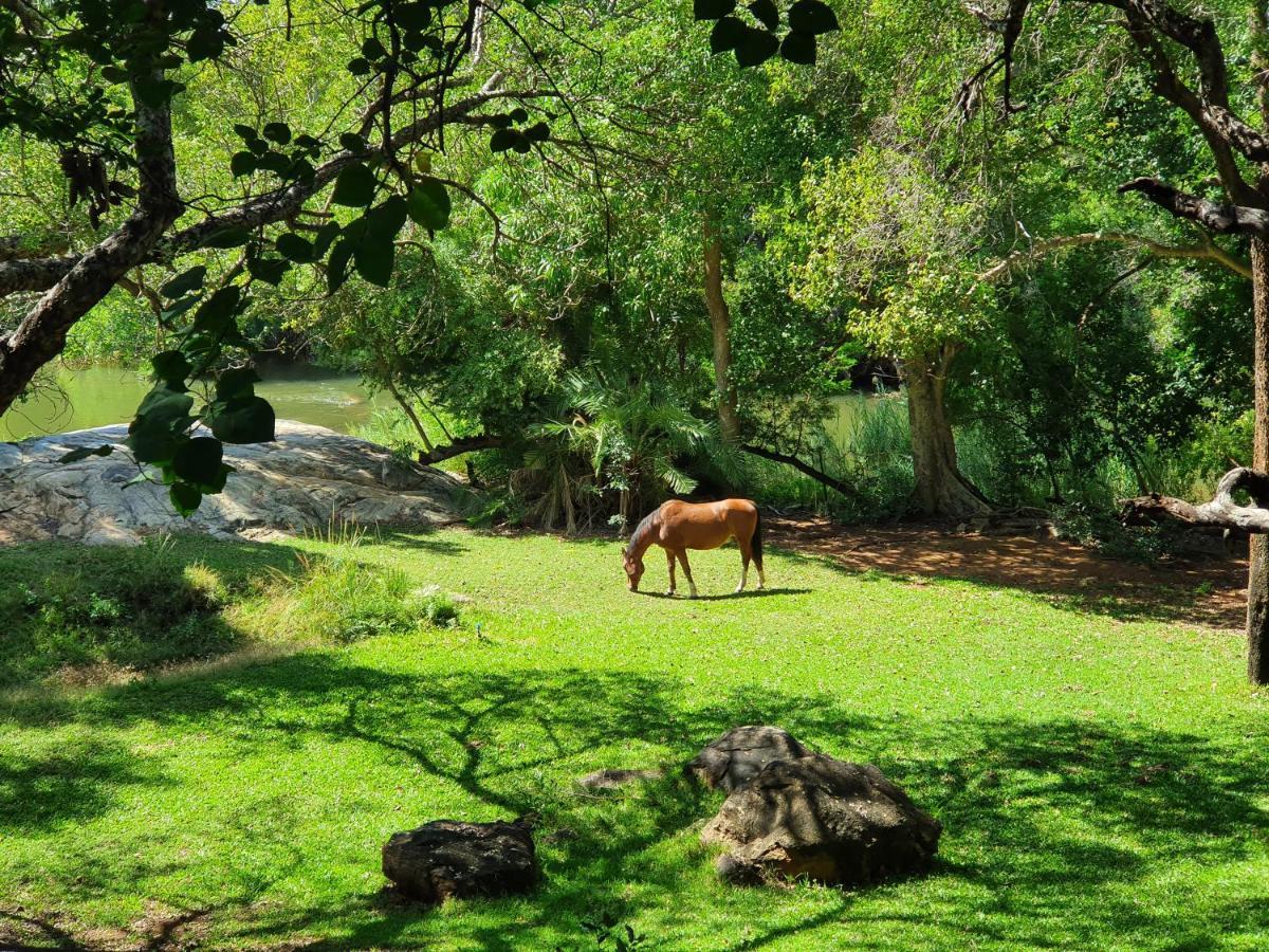 Blyde River Wilderness Lodge Hoedspruit Zewnętrze zdjęcie