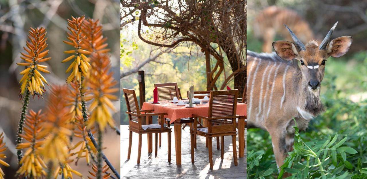 Blyde River Wilderness Lodge Hoedspruit Zewnętrze zdjęcie
